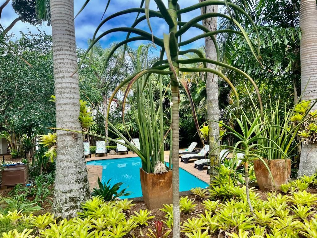 Lidiko Lodge pool