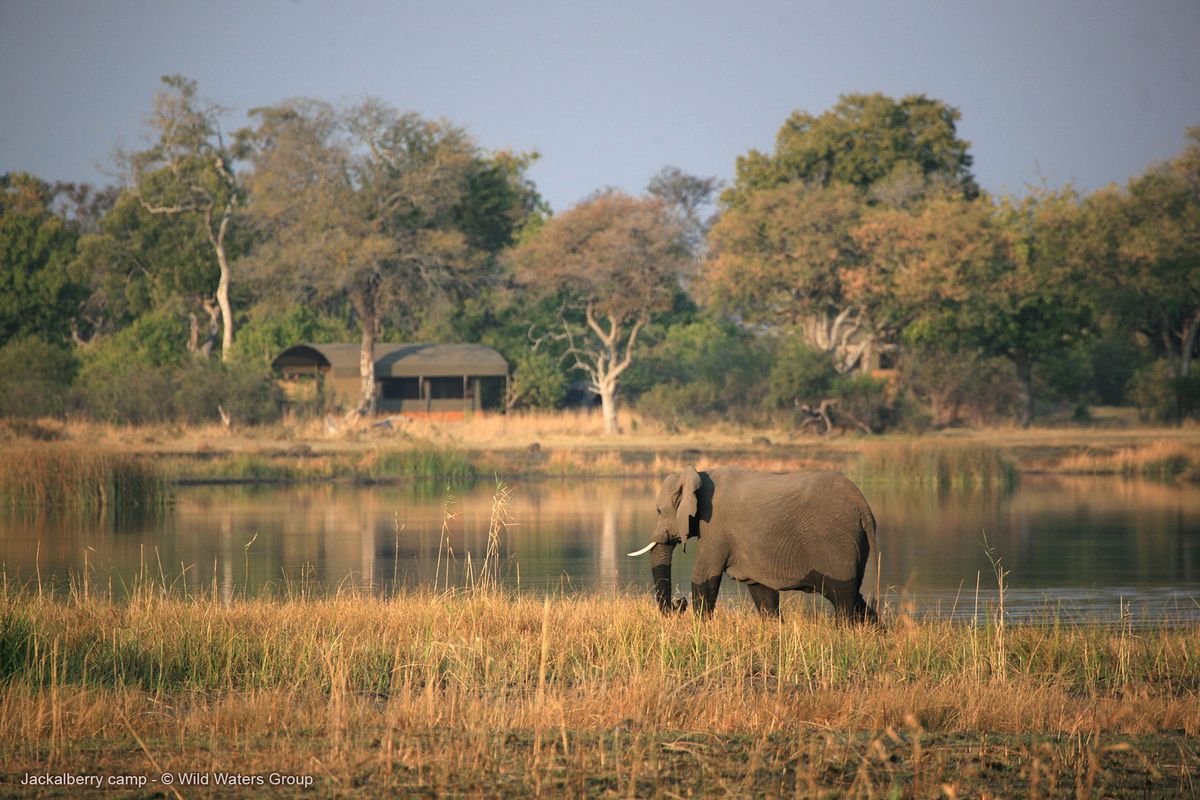 Jackalberry Tented Camp area