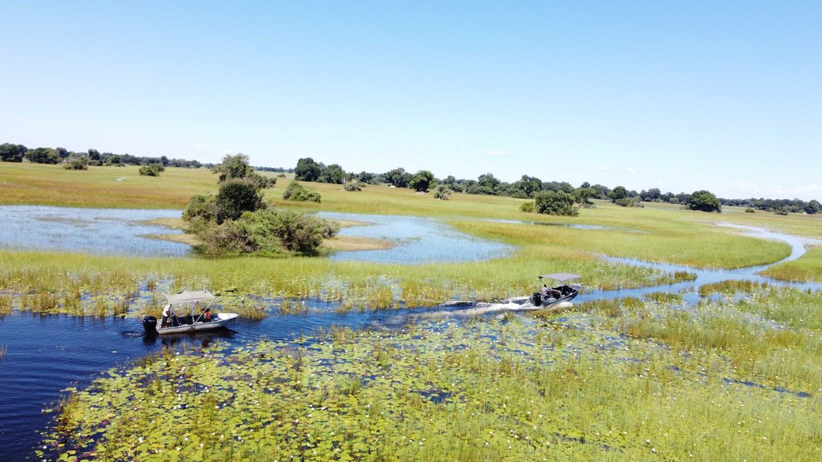Bushmen Plains boattrip