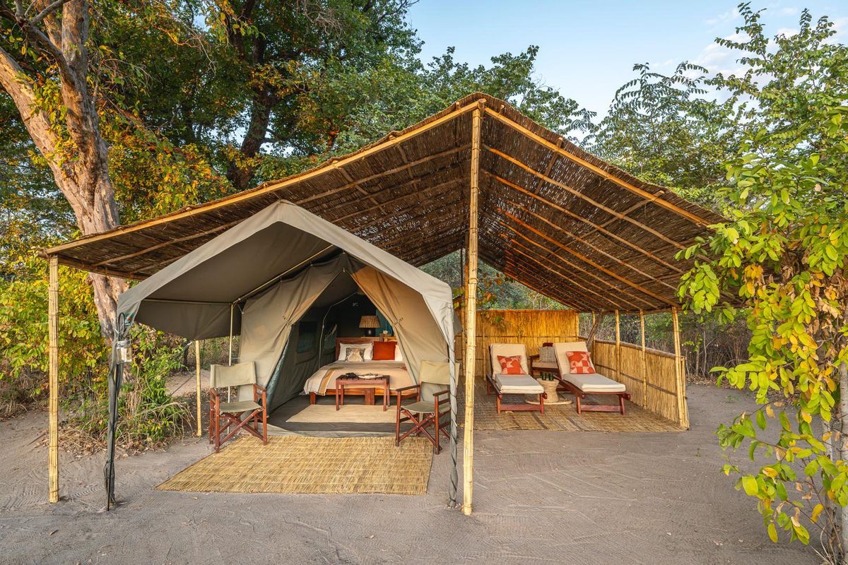 Nkonzi Bush Camp tent
