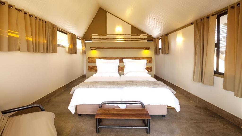 Desert Quiver Camp room