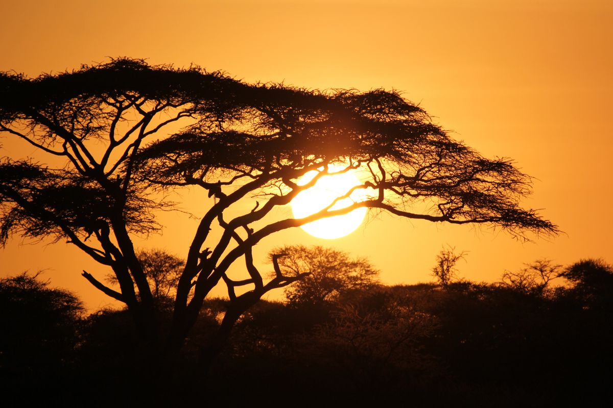 Serengeti sunset