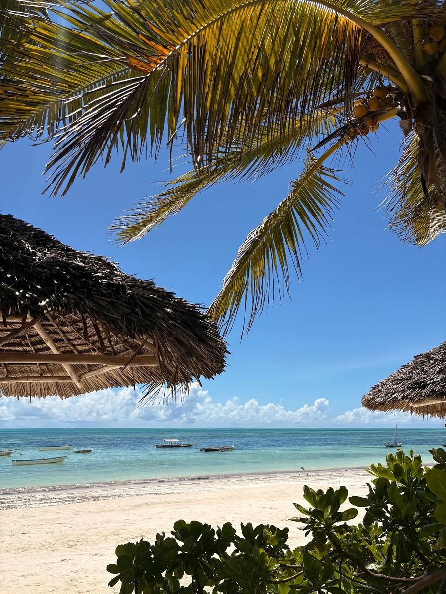 Zanzibar - M.Mahl