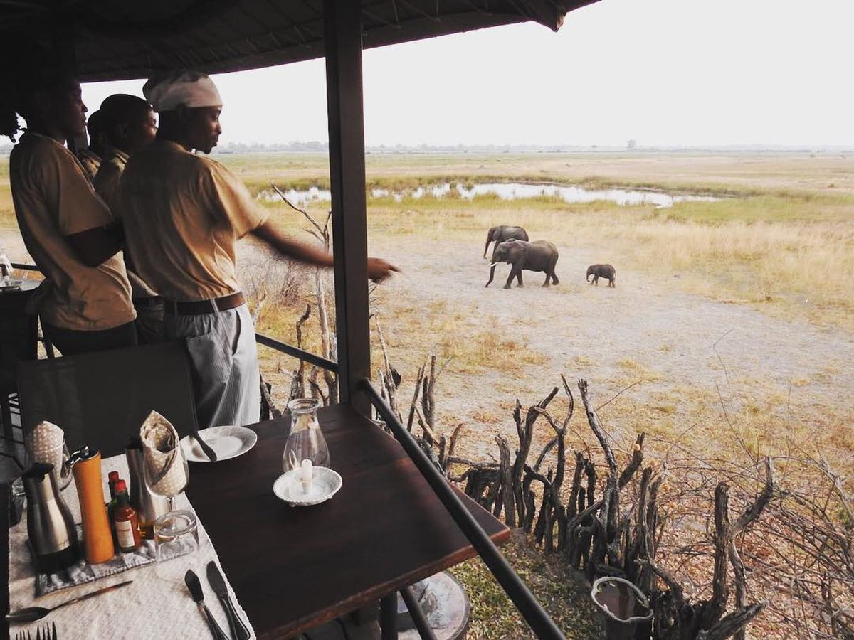 Jackalberry Tented Camp view