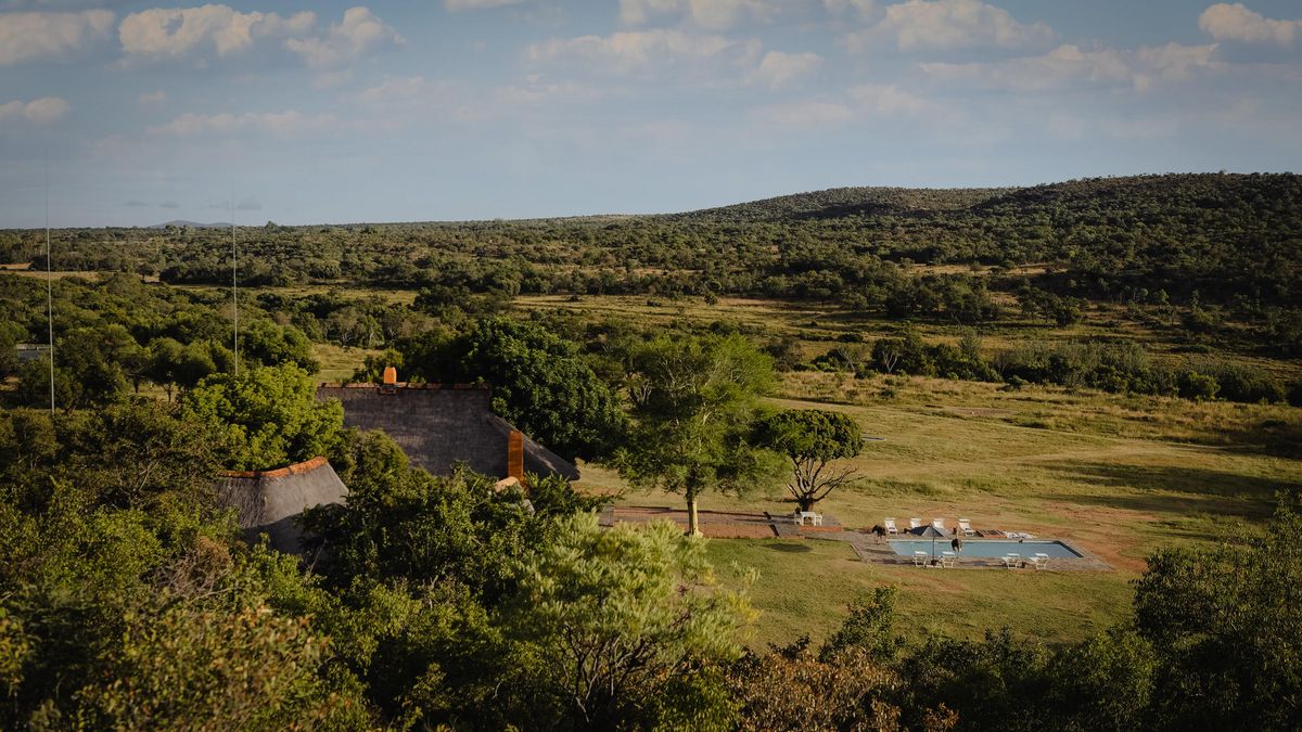 Zebras Crossing aerial view
