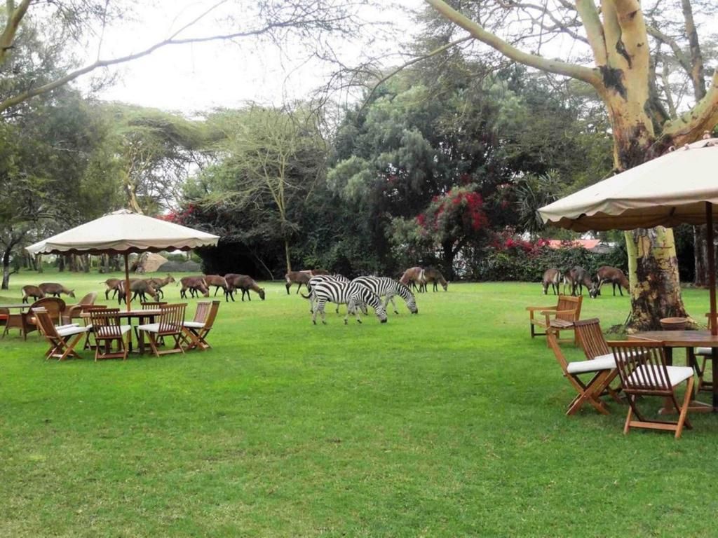 Lake Naivasha Country Club garden