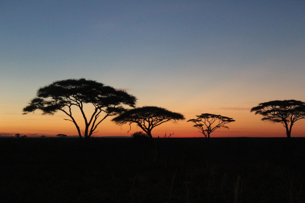 Serengeti sunset