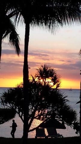 Sonnenuntergang zwischen Palmen auf Mauritius