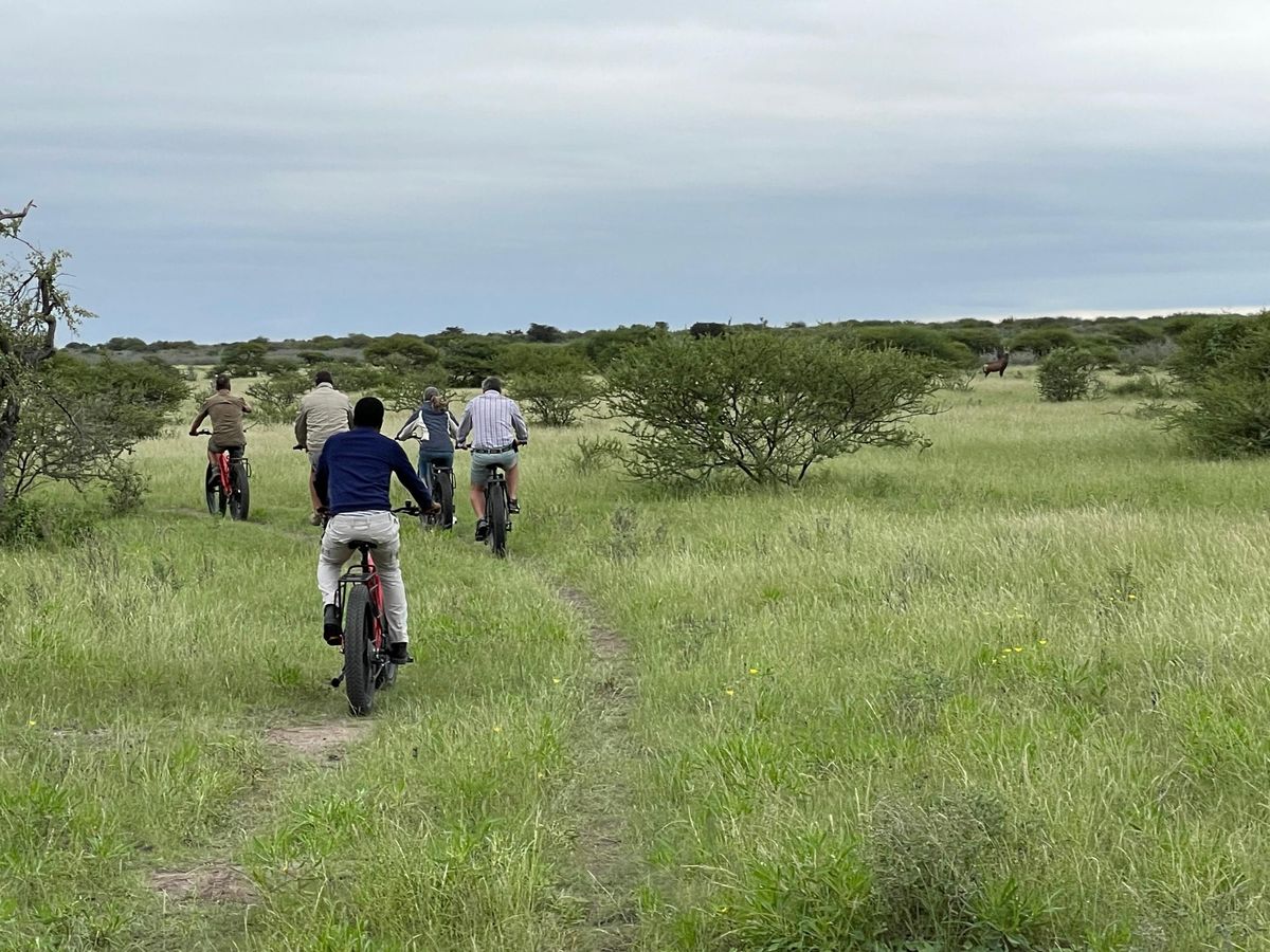 Great Tsau Hill mountain biking