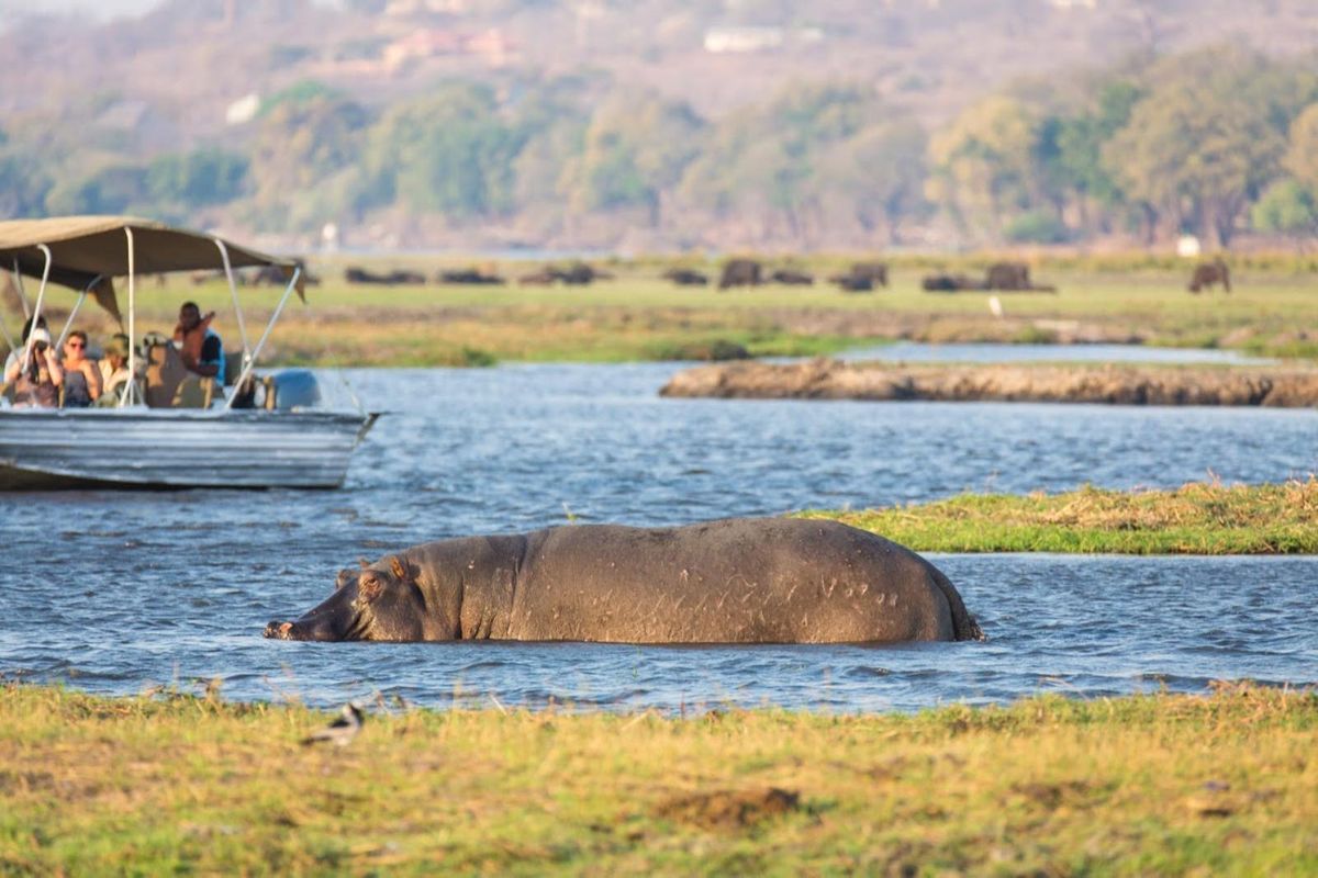 Chobe Elephant Camp boat safari