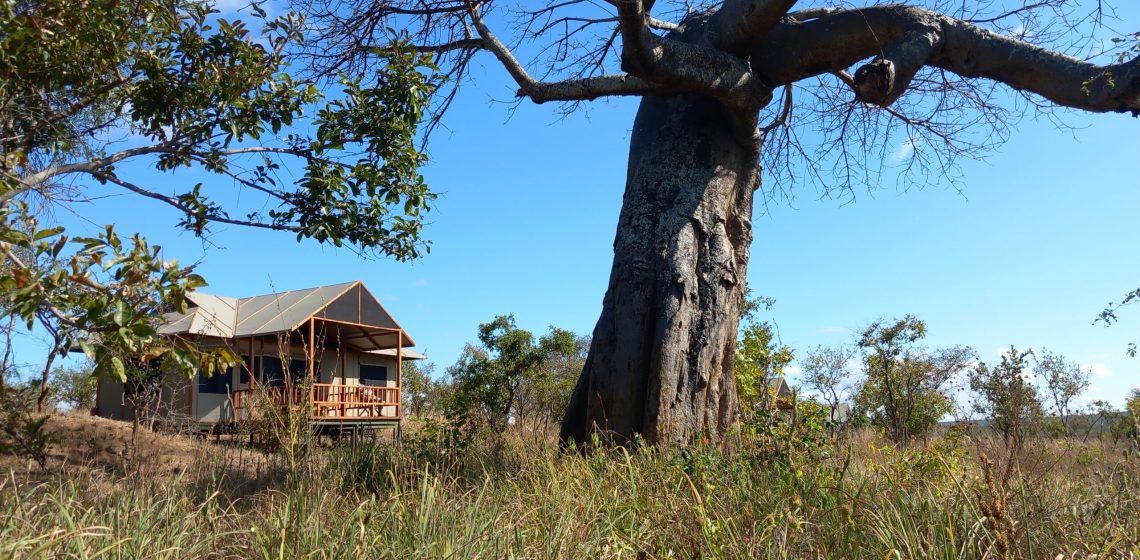 Tarangire View chalets