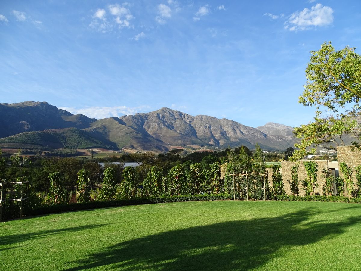 Weinregion Südafrika