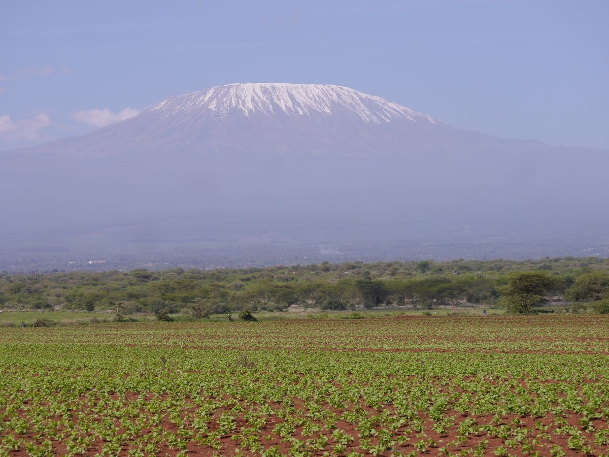Amboseli Kilimanjaro