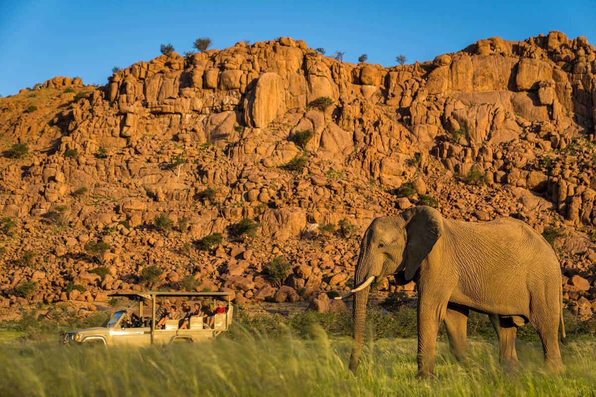 Camp Kipwe game drive