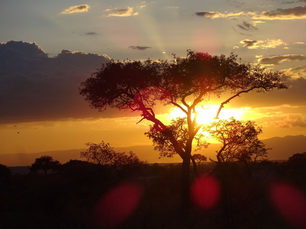 Tarangire sunset