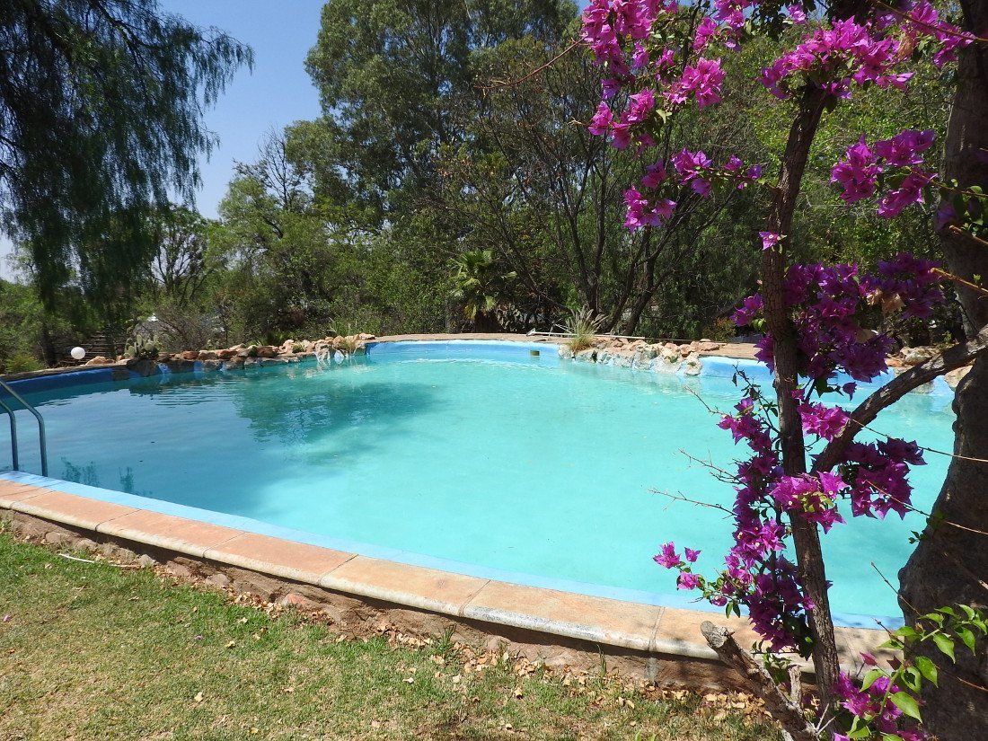 Okambara Elephant Lodge pool