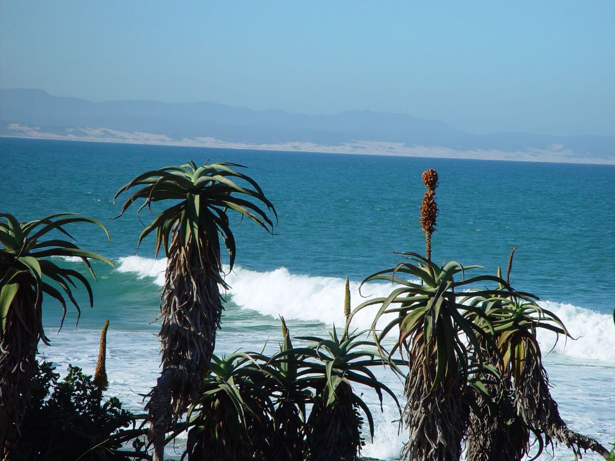 Jeffreys Bay