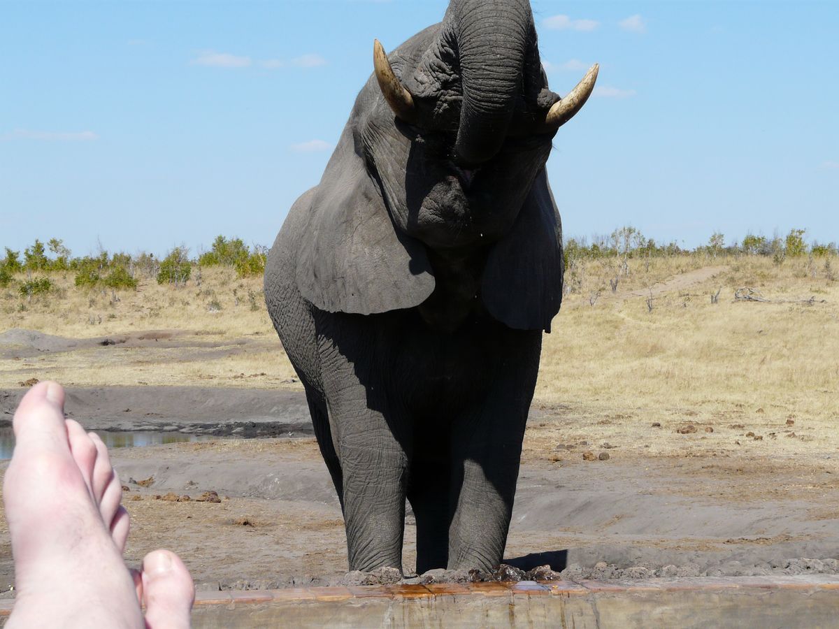 Hwange eli close