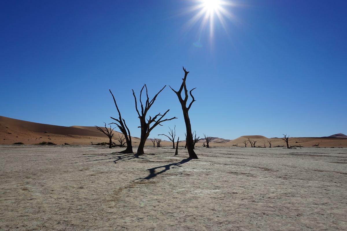 Namib Naukluft Dead Vlei