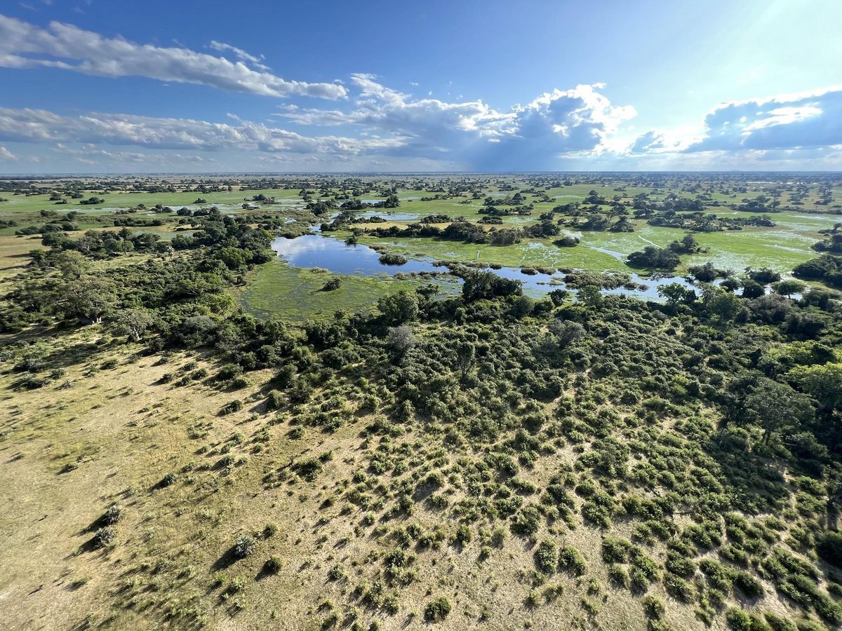 Kala aerial view 1