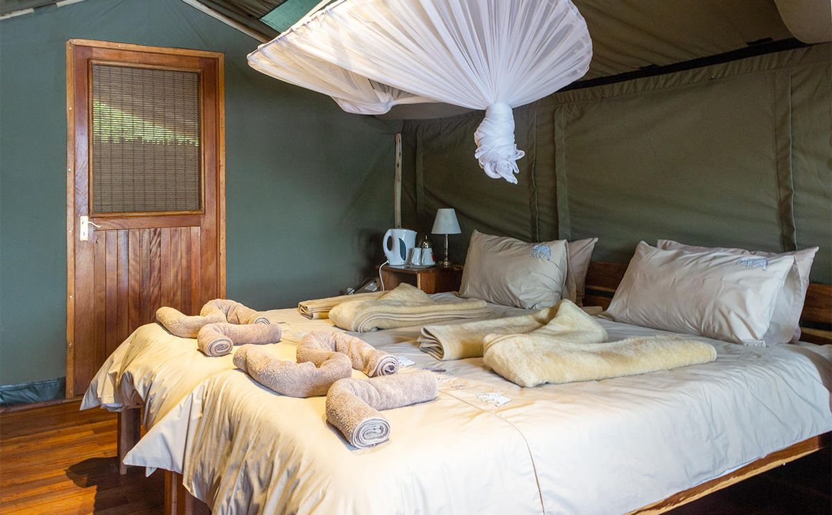 Ndhovu Safari Lodge standard bedroom