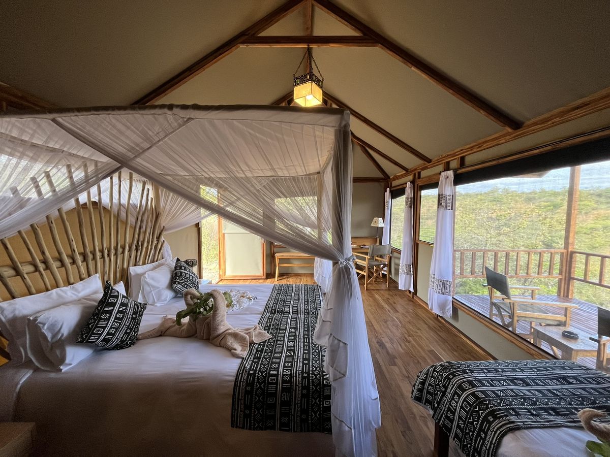 Tarangire View room2
