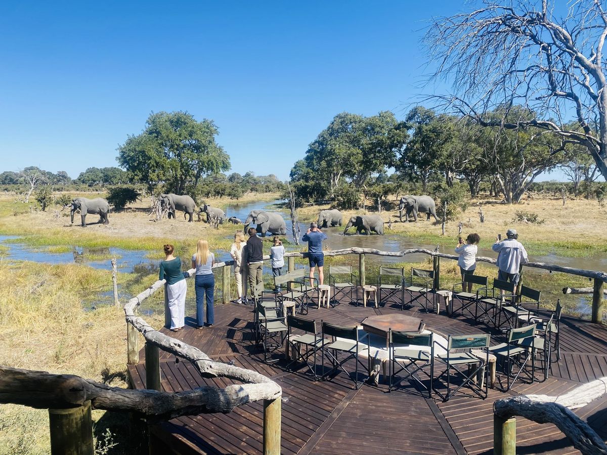 Nokanyana fire pit elephants