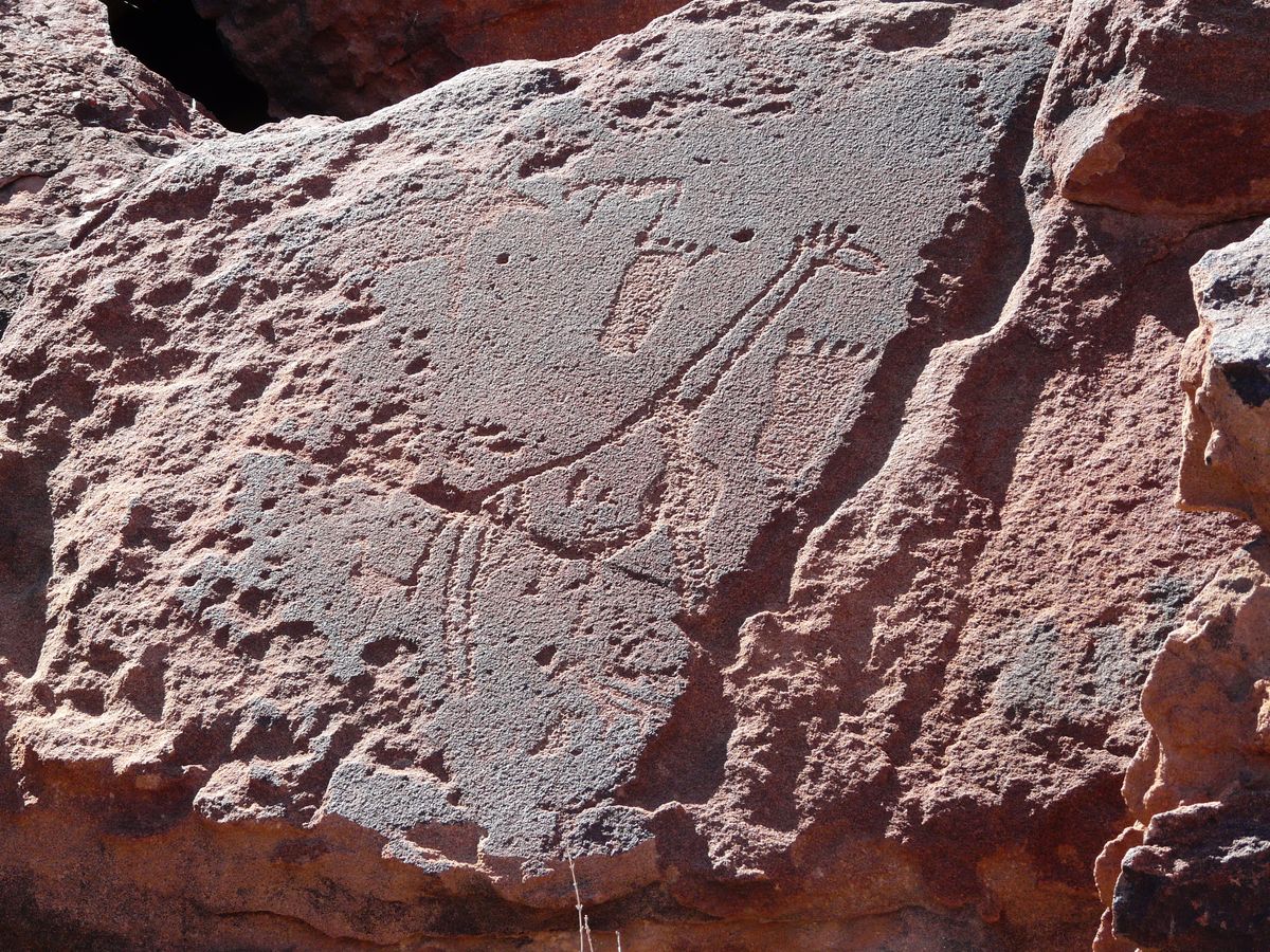 Twyfelfontein rock painting