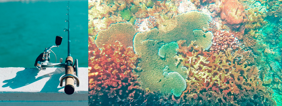 Flitterwochen auf der paradiesischen Insel Mauritius