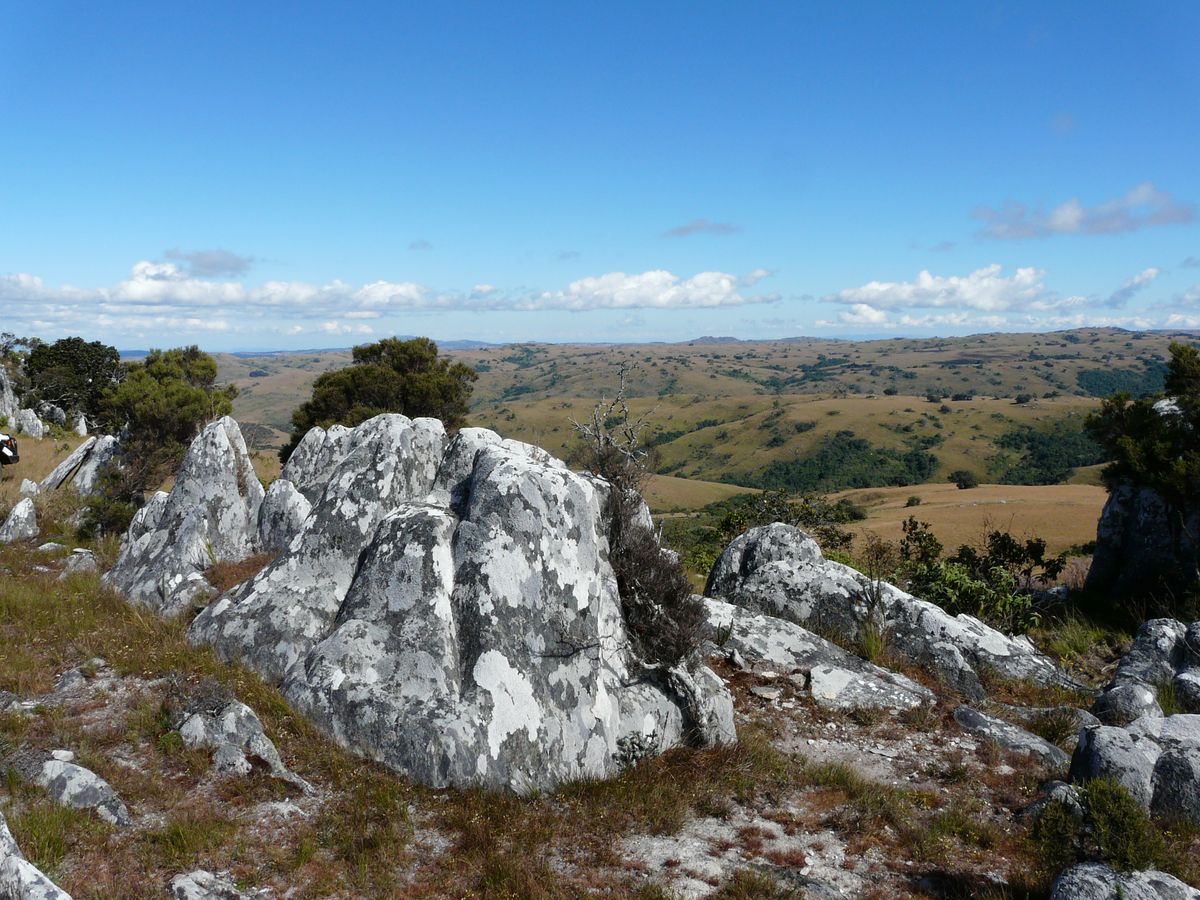 Nyika landscape