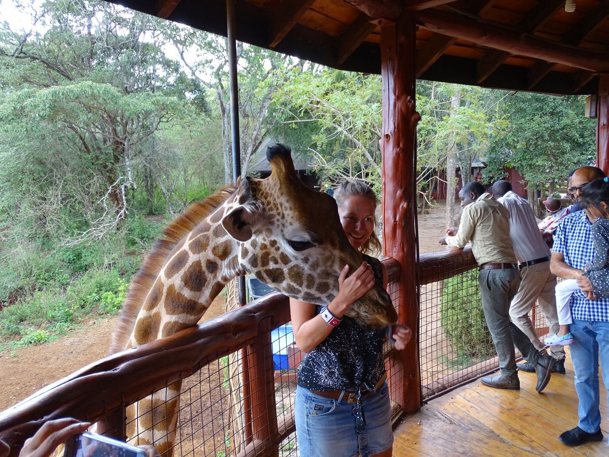 Nairobi giraffe centre