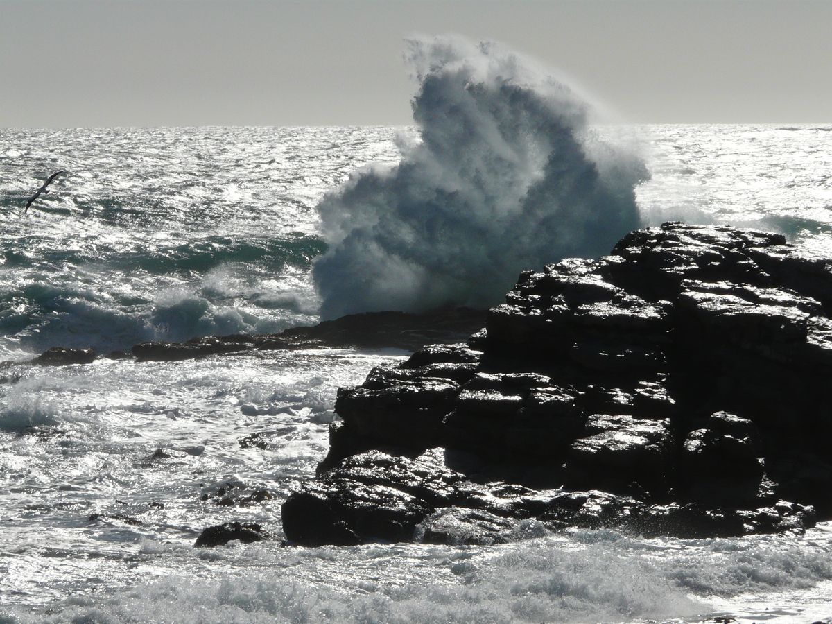Südafrika Westcoast