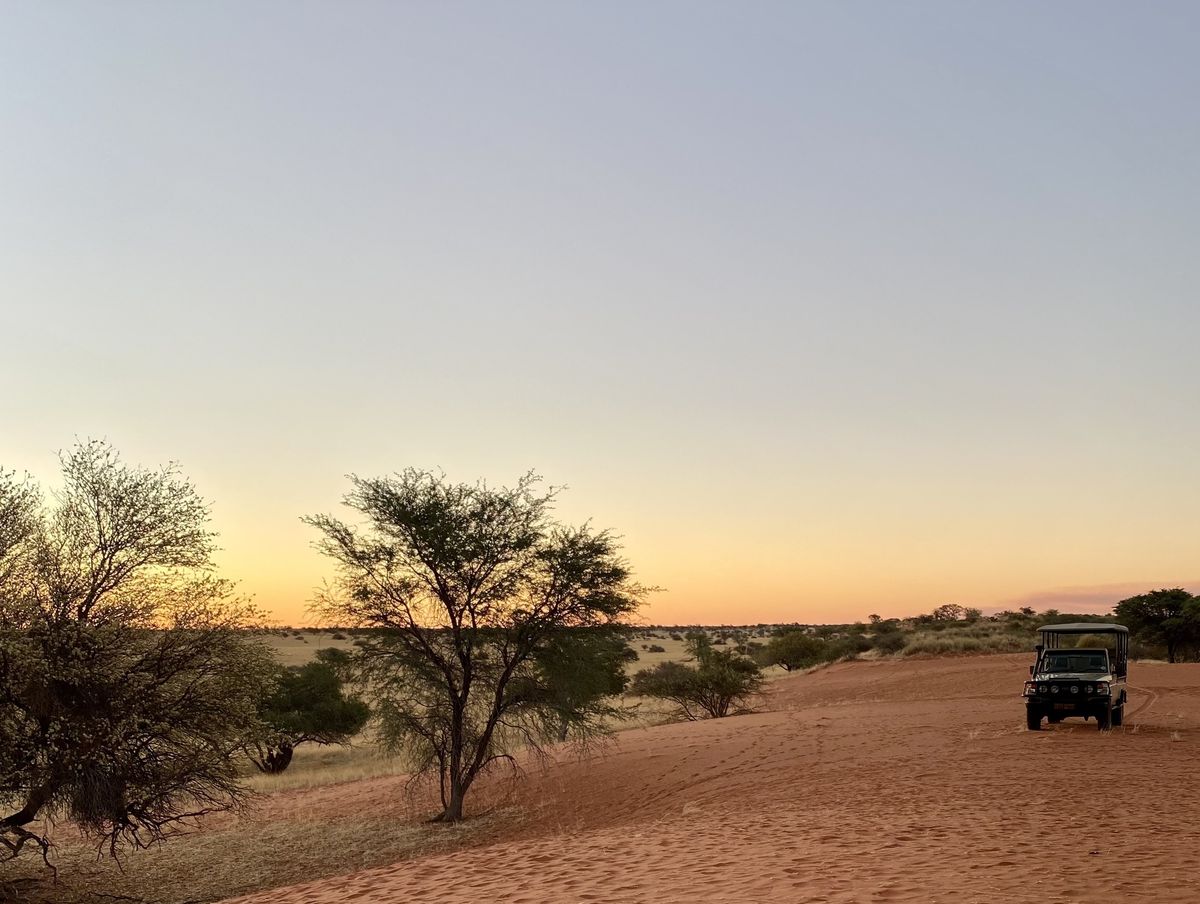 Kalahari Wüste Namibia - Sundowner Drive