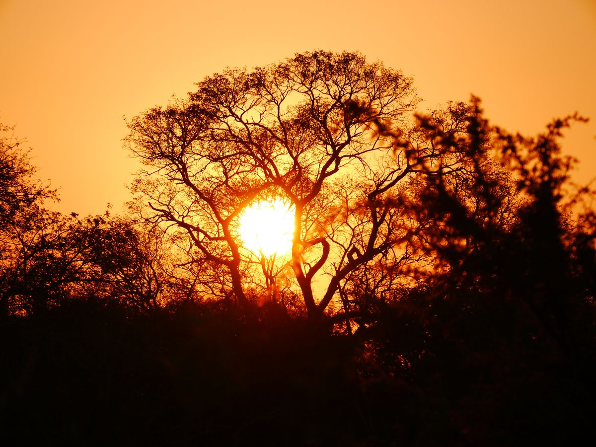 Die beste Reisezeit für Südafrika!