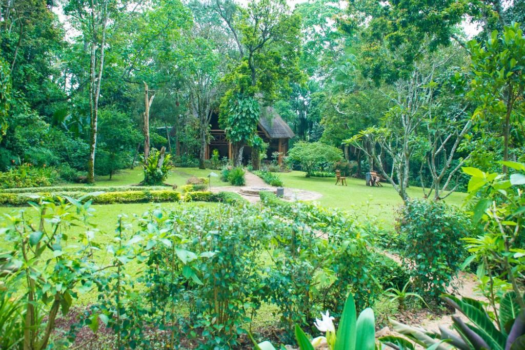 Kibale Forest Camp garden