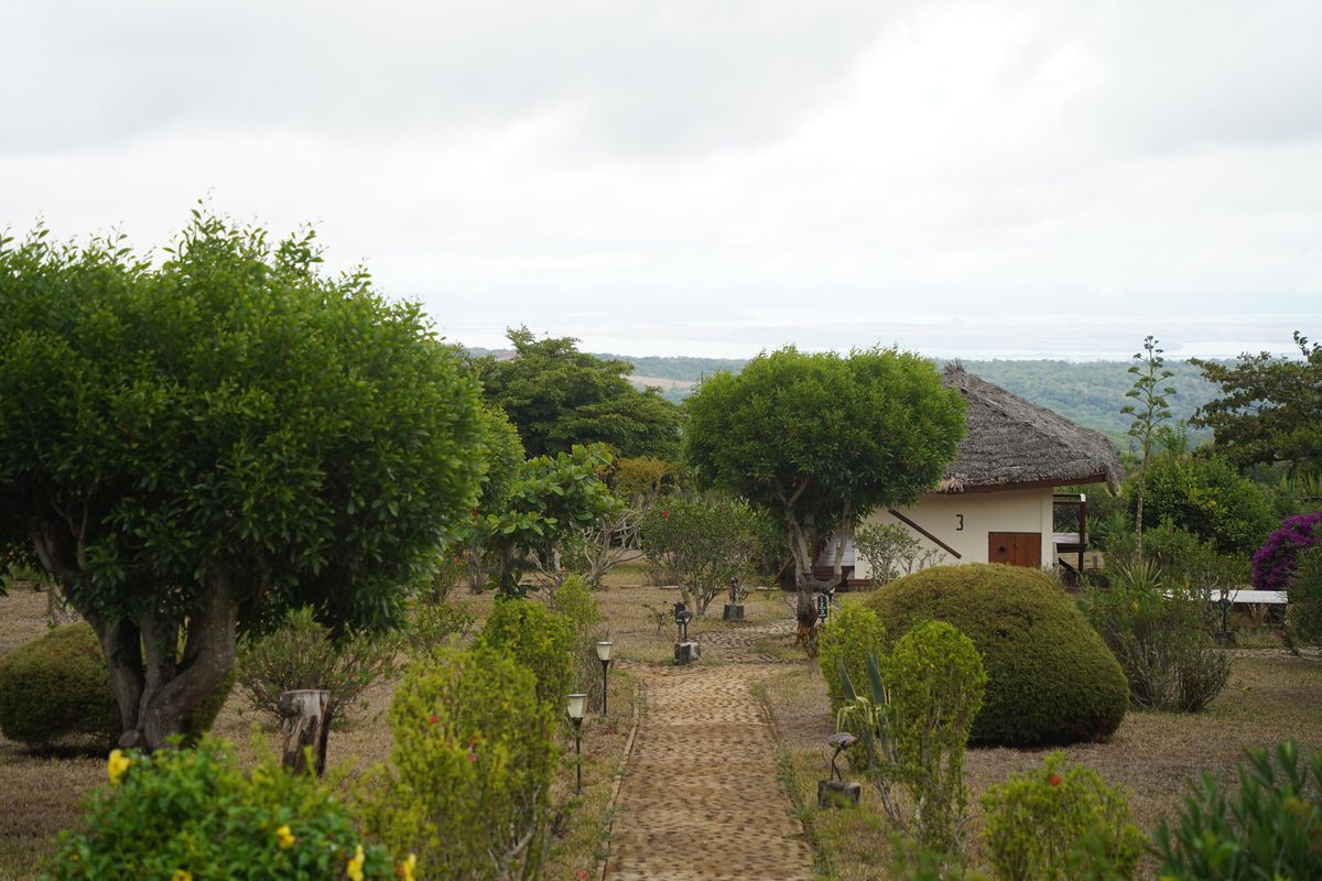 Le Relais de l'Ankarana garden path