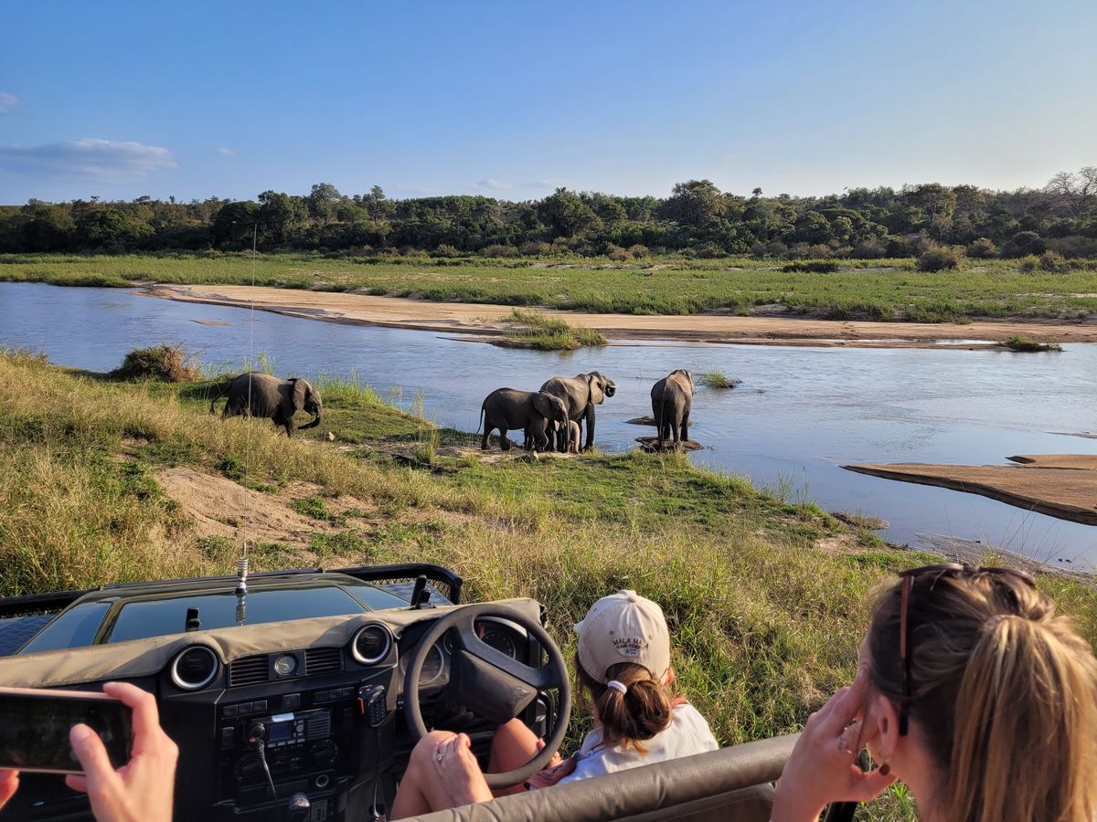 Game Drive Mala Mala
