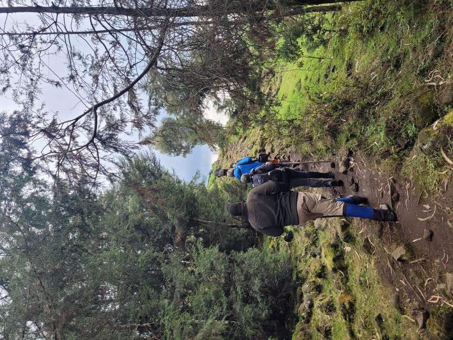 Volcanoes tracking