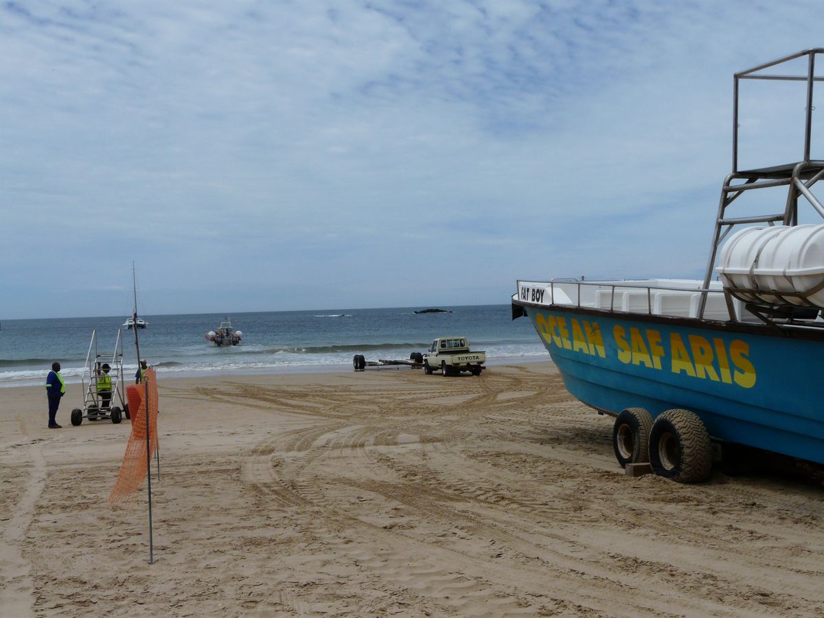 Plettenberg ocean safaris