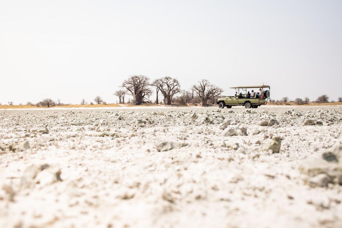 Nxai Pan salt pan baobabs
