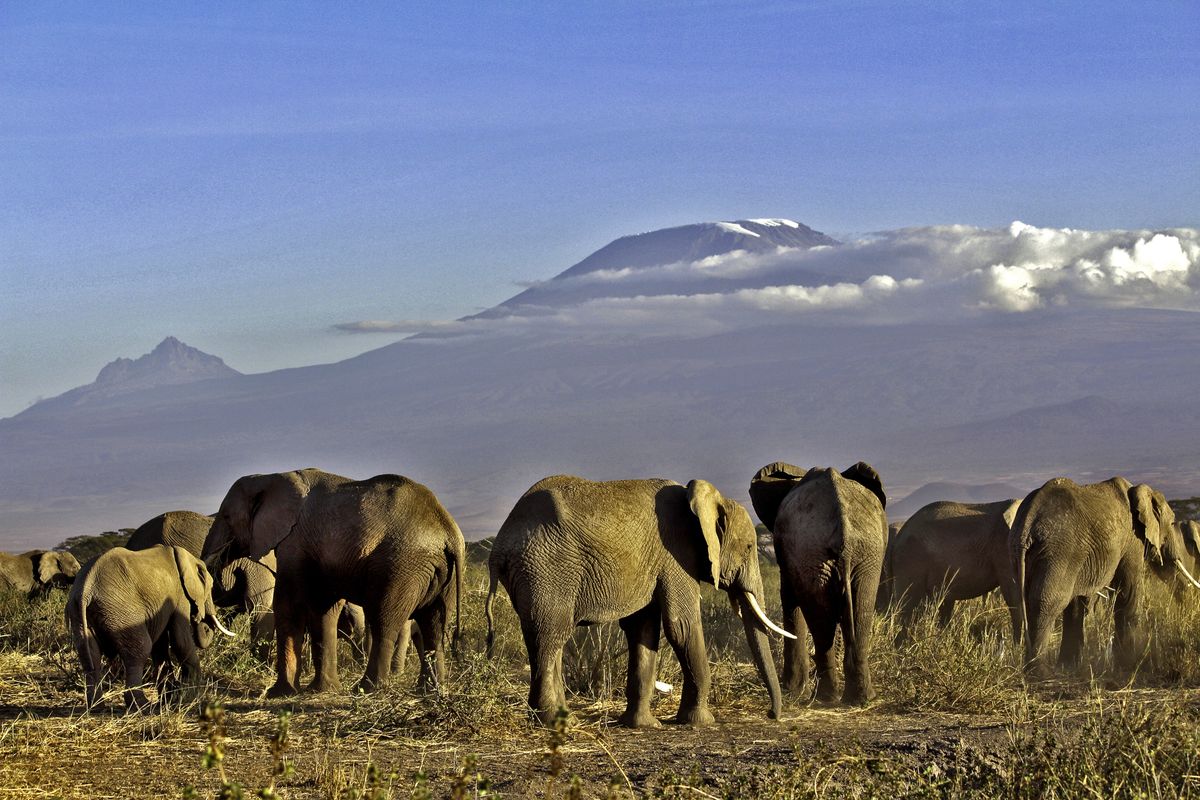 Beste Reisezeit _Kenia_