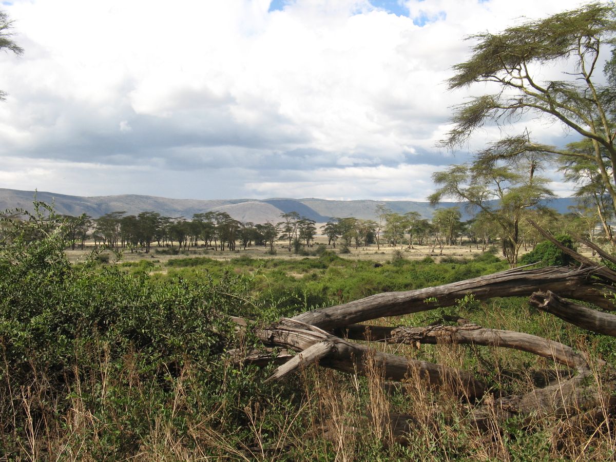 Ngorongoro landscape