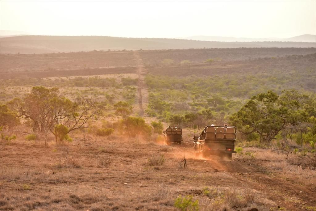Bayala game drive