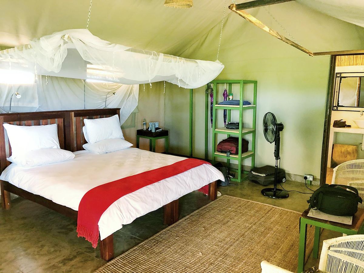 Rafiki Safari Camp room