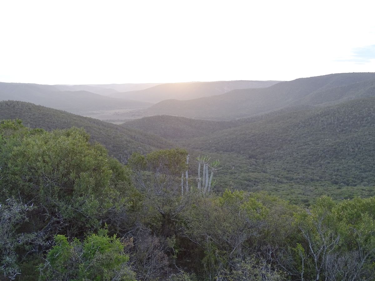 Kariega landscape
