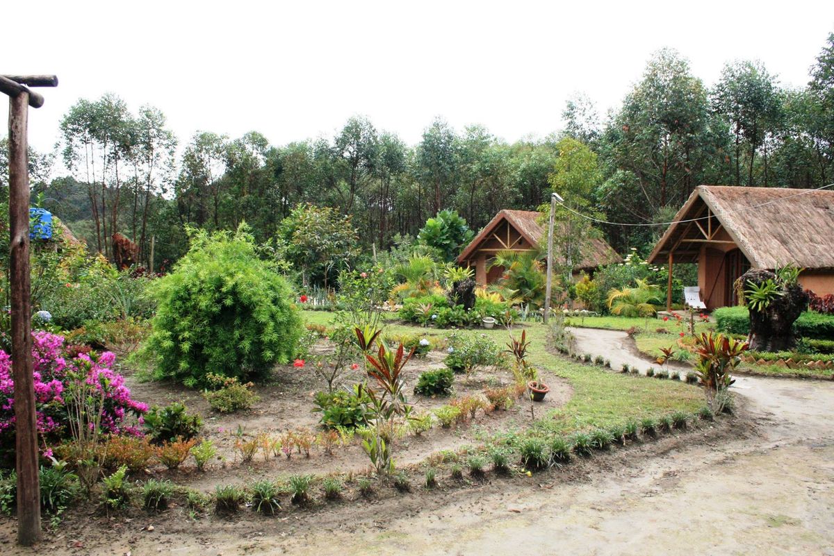 Grace Lodge garden