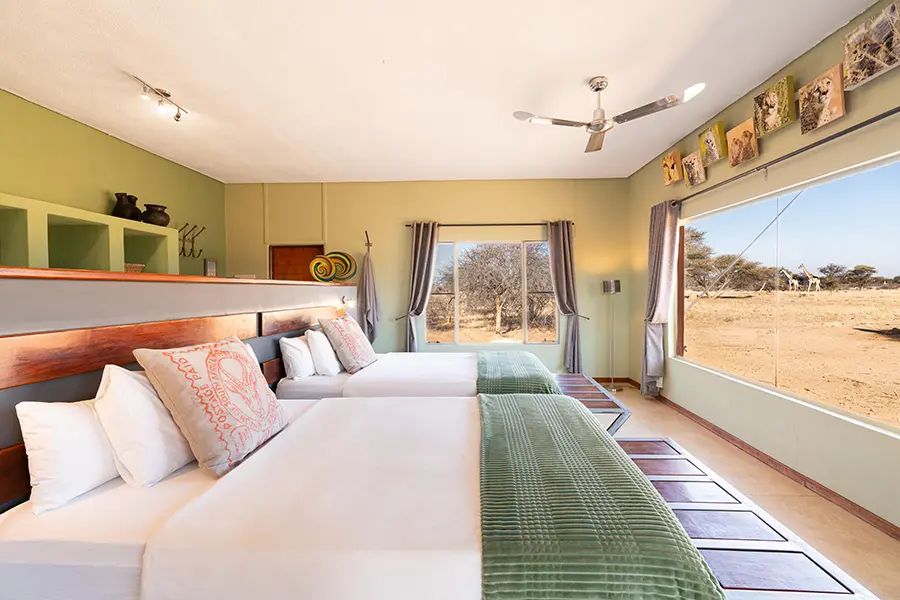 Okonjima Plains room2