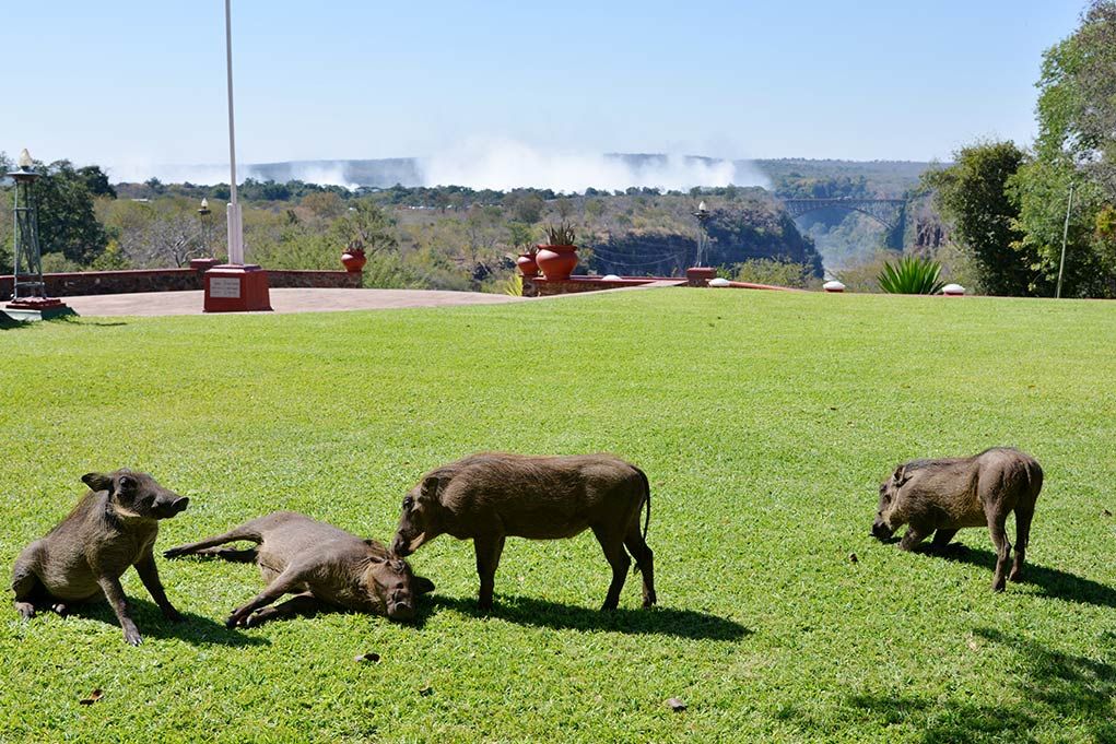 The Victoria Falls Hotel garden