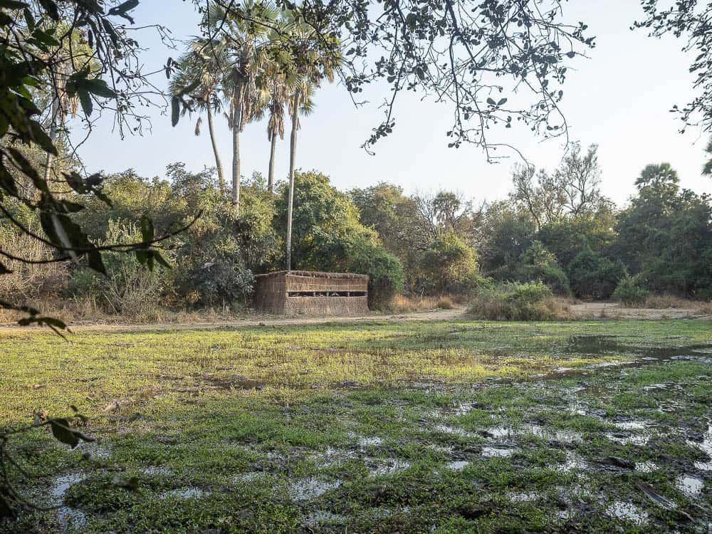 Island Bush Camp hide