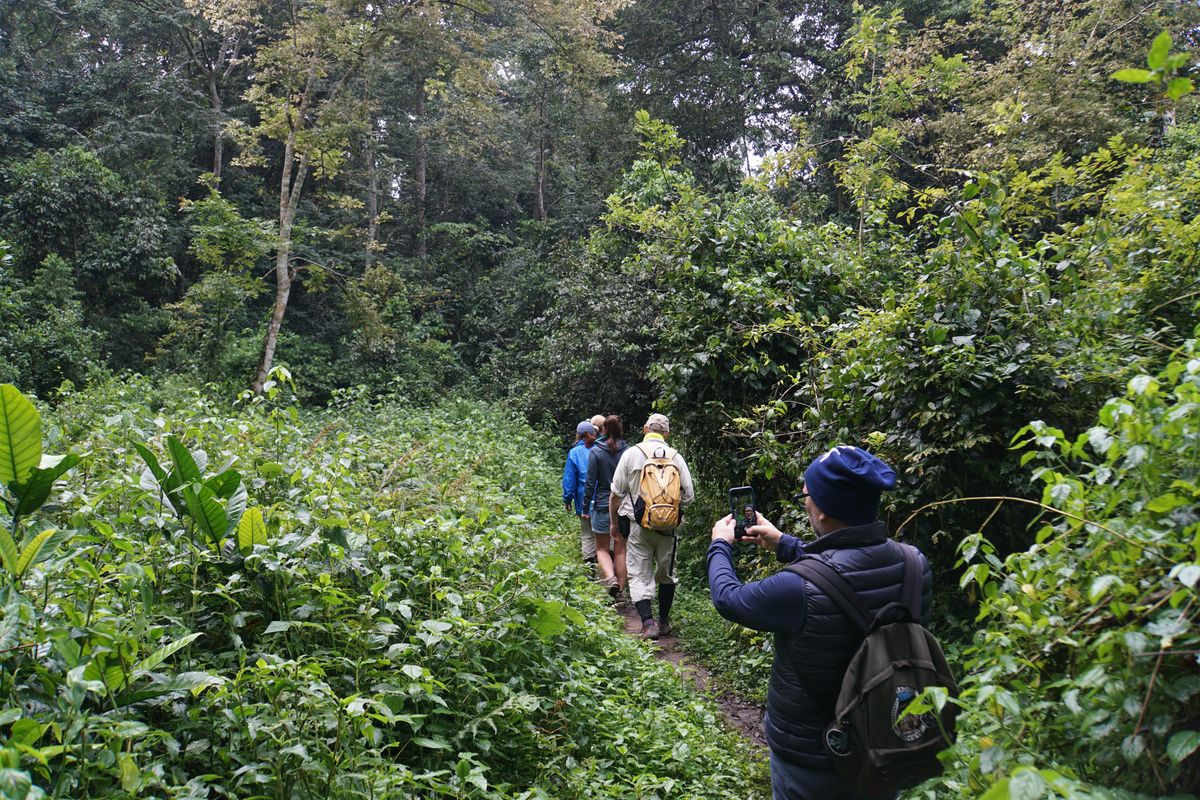 Kibale Tracking